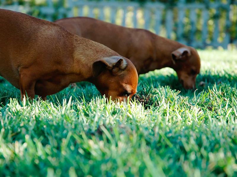 sudoku relaxation mode screenshot 3